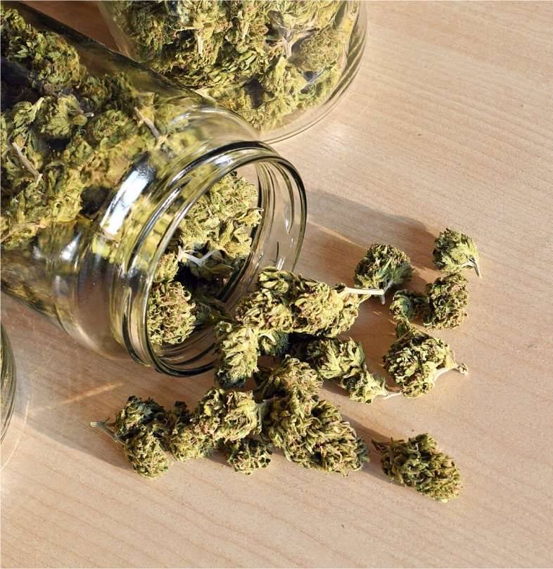 Buy cannabis flowers Online 